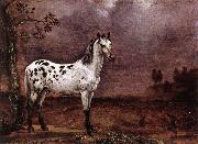 The Spotted Horse af POTTER, Paulus